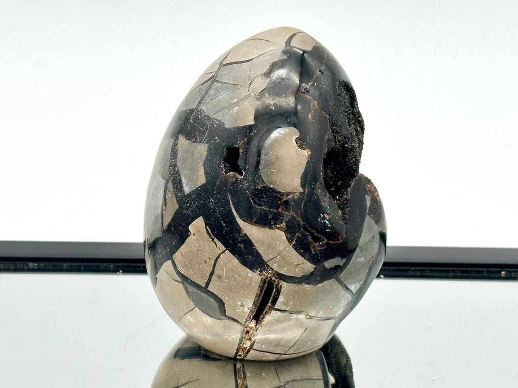 Black Septarian Crystal Cutbase (1.37kg) #8