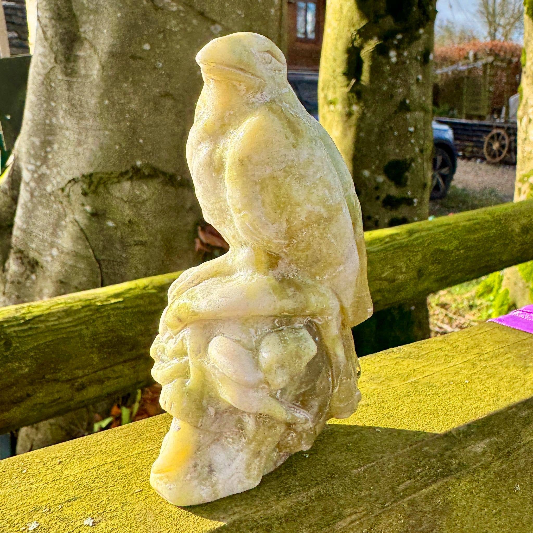 Crow on skull carving 10.4cm called Norse Jade stone crystal