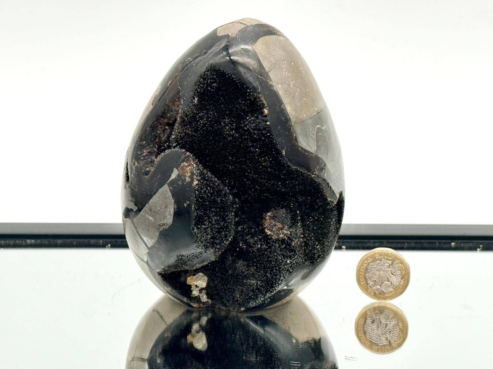 Black Septarian Crystal Cutbase (1.37kg) #8