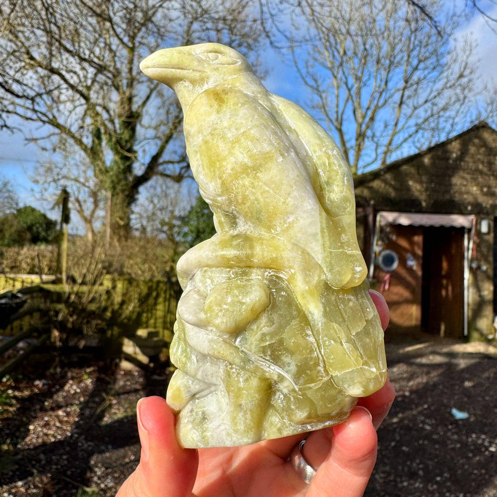 Crow on skull carving 10.4cm called Norse Jade stone crystal