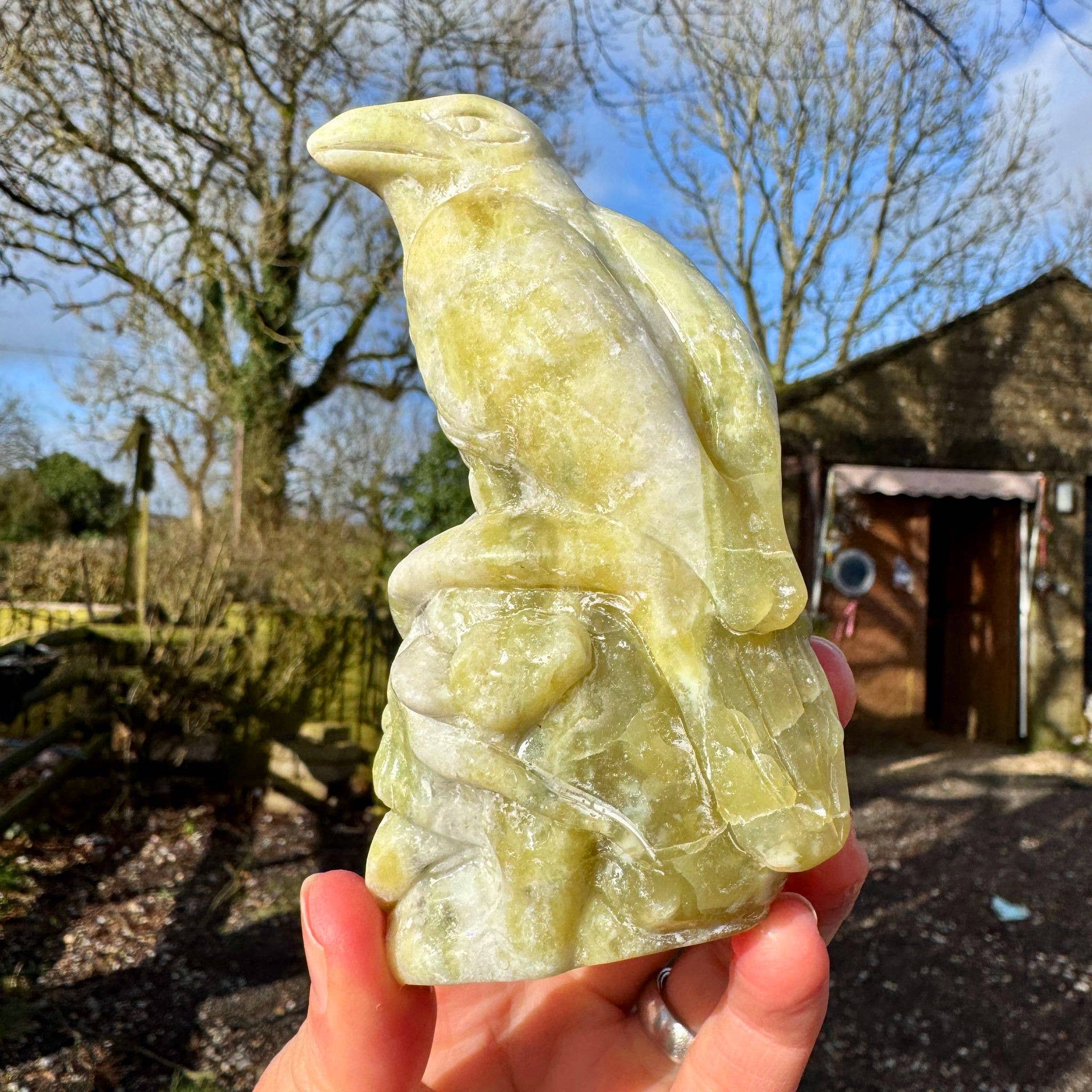 Crow on skull carving 10.4cm called Norse Jade stone crystal