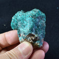 Raw Dioptase on Matrix Specimen - 51 Grams #02
