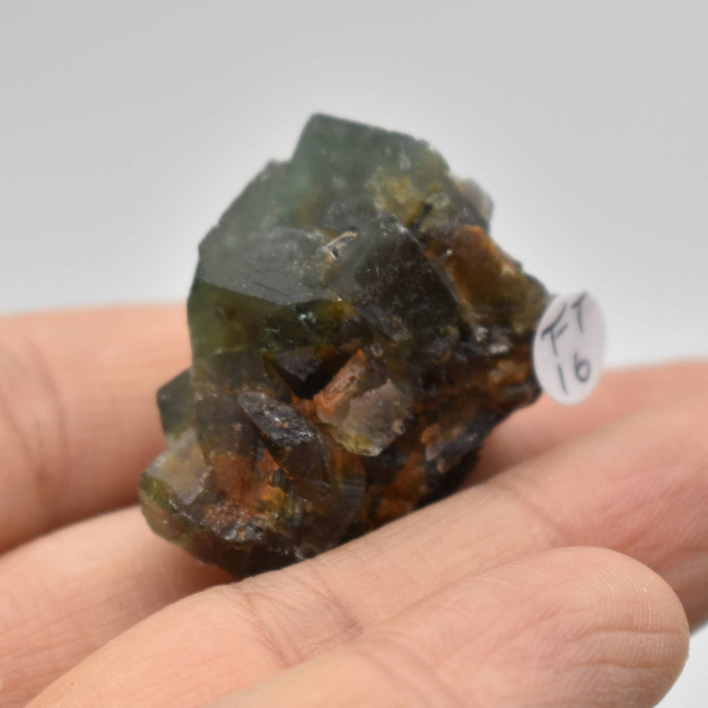 Diana Maria Fluorite Raw Crystal Cluster - 8 Sizes