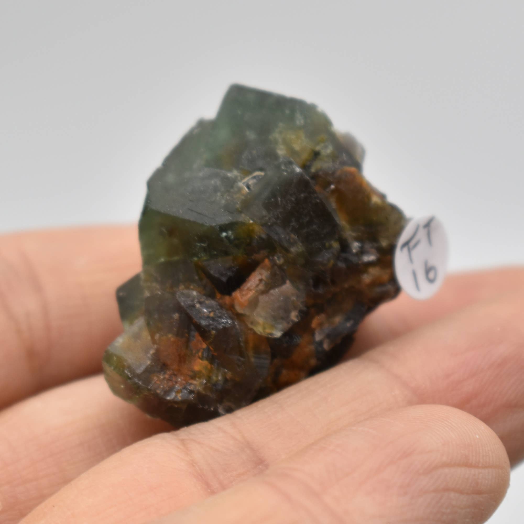 Diana Maria Fluorite Raw Crystal Cluster - 8 Sizes