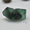 Diana Maria Fluorite Raw Crystal Cluster - 8 Sizes