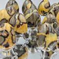 Septarian Crystal Egg
