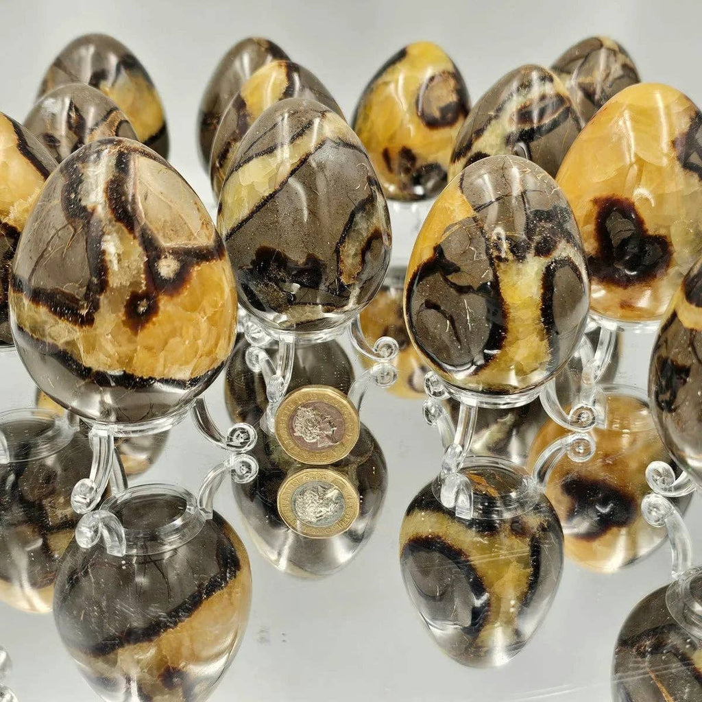 Septarian Crystal Egg