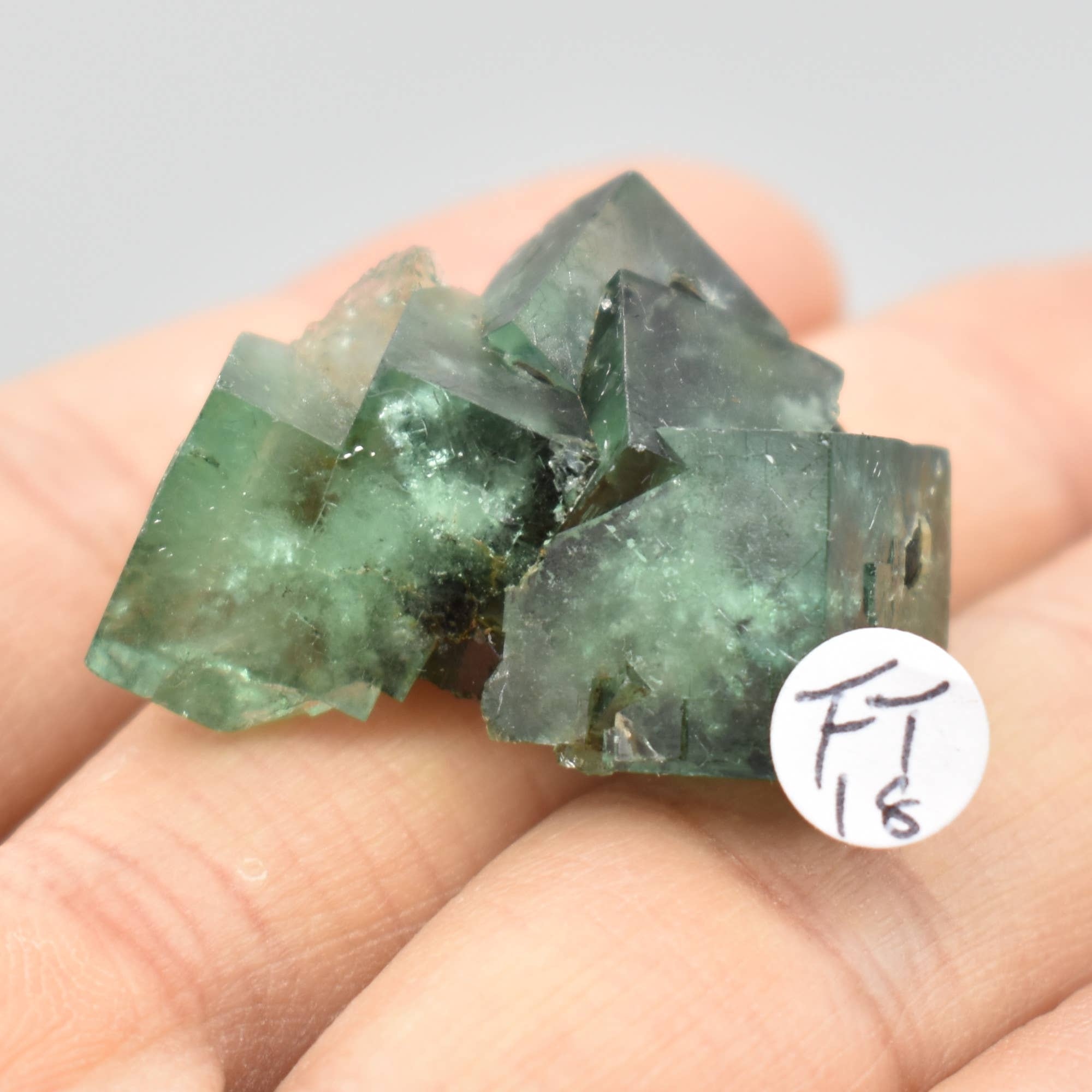 Diana Maria Fluorite Raw Crystal Cluster - 8 Sizes