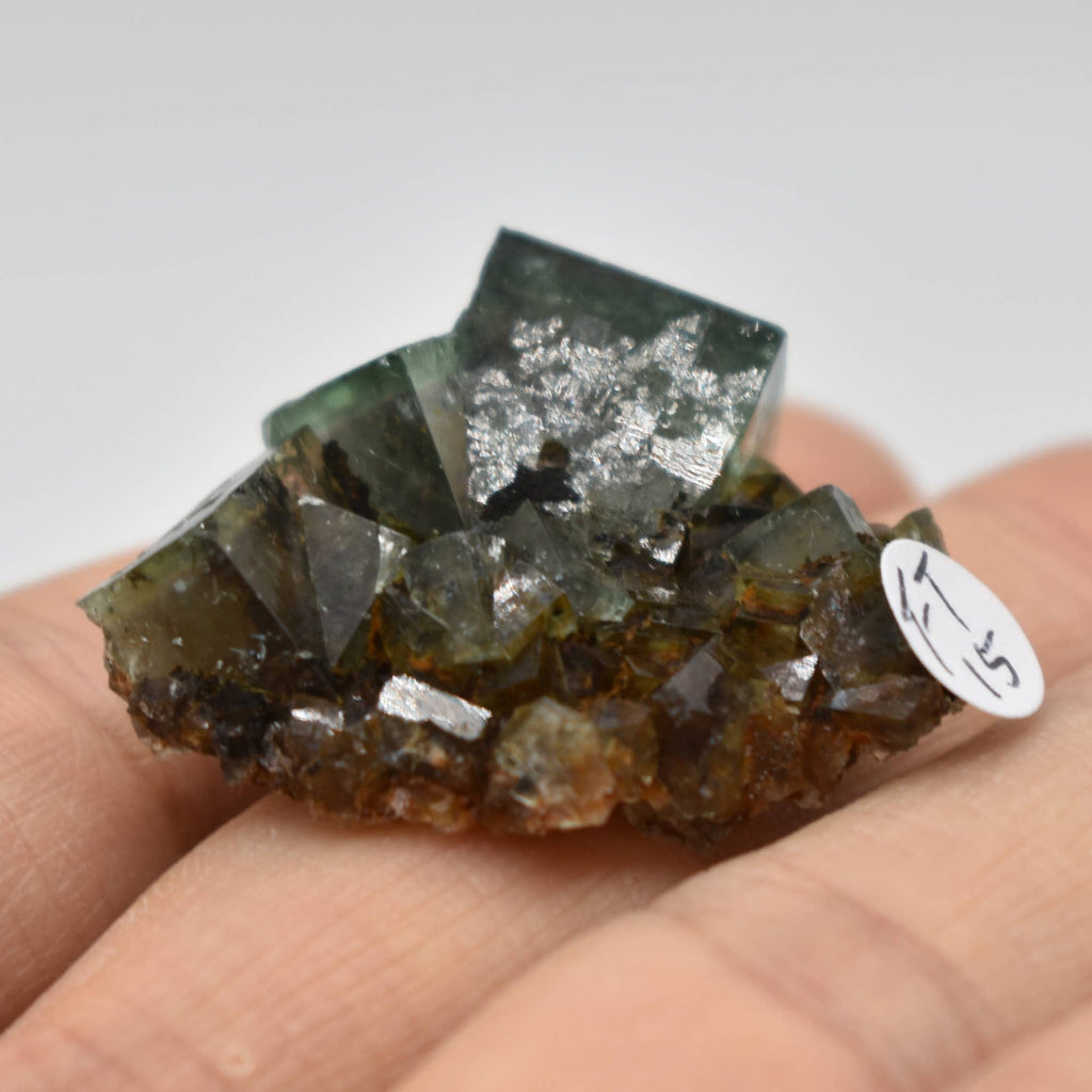Diana Maria Fluorite Raw Crystal Cluster - 8 Sizes